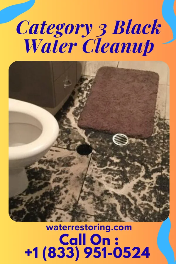 Category 3 Black Water Cleanup in Eagle, WI