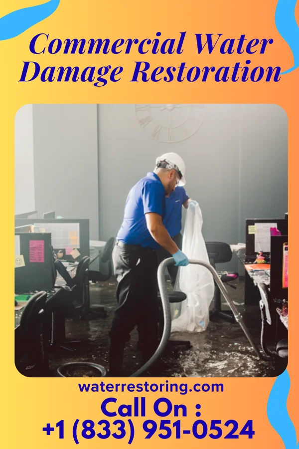 Commercial Water Damage Restoration in Eagle, WI
