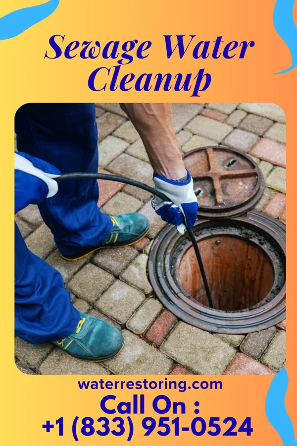 Sewage Water Cleanup in Eagle, WI